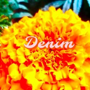 DENIM